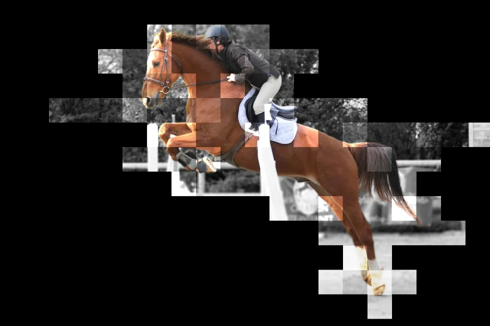 Un cheval alezan et sa cavalière au saut d’obstacle, en montage noir et blanc et couleur