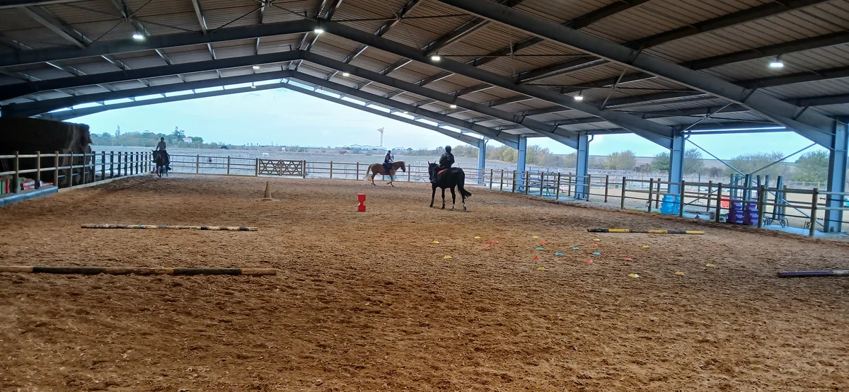 Le manège couvert en plein cours : trois cavaliers au travail entre les barres et les plots