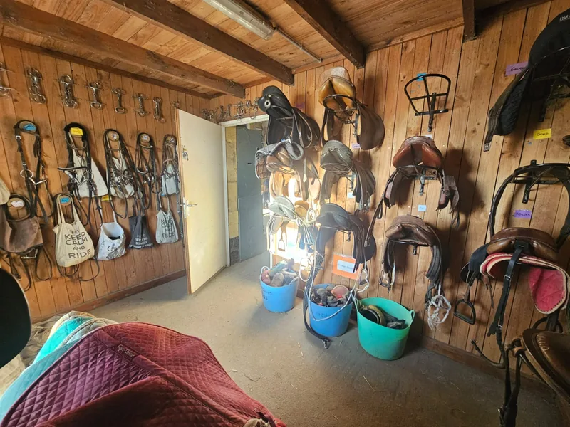 La sellerie du club : selles et filets accrochés au mur de bois, seaux de pansage au sol