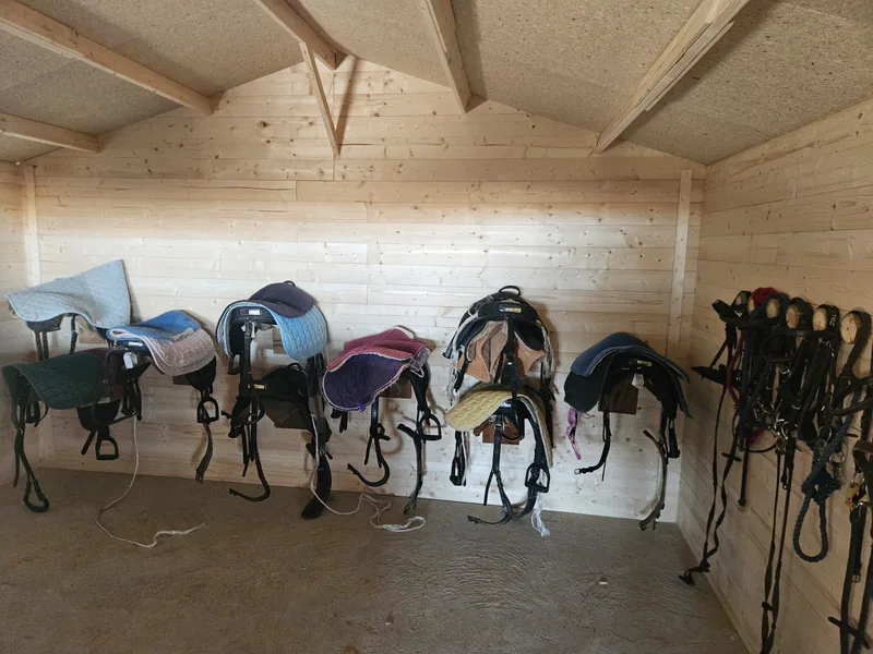 La sellerie poney, petites selles et tapis de couleur alignés sur un mur de bois clair