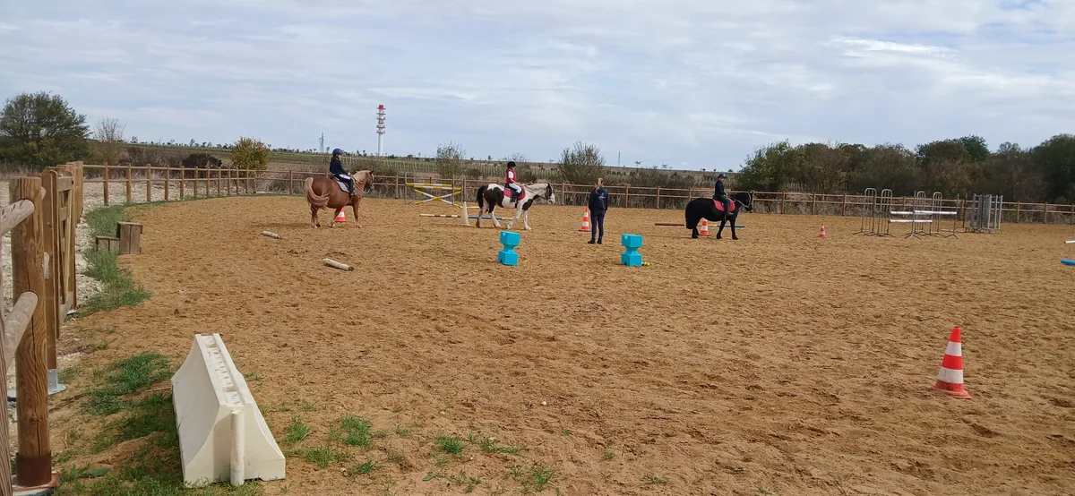 Un cours à cheval dans la grande carrière : cavaliers et chevaux entre les plots, par une journée nuageuse